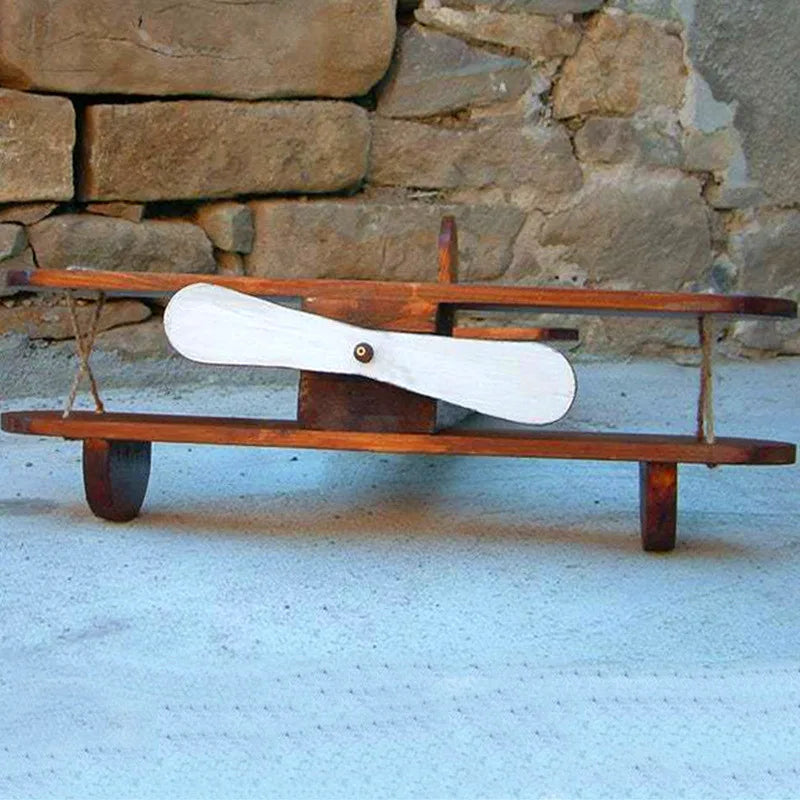 Wood Retro Plane Baby Posing The Hundred Day Photo