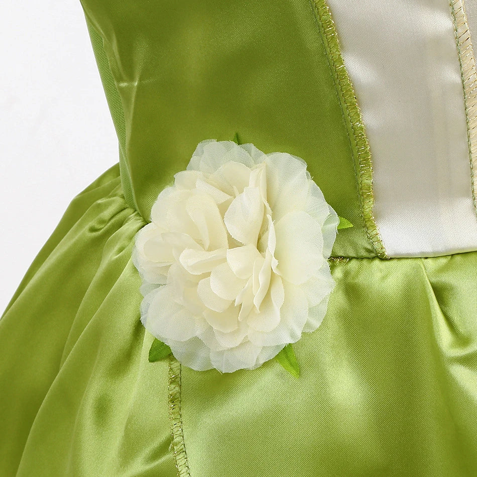 Disney Fancy Tiana Dress The Princess and the Frog Cosplay Clothing