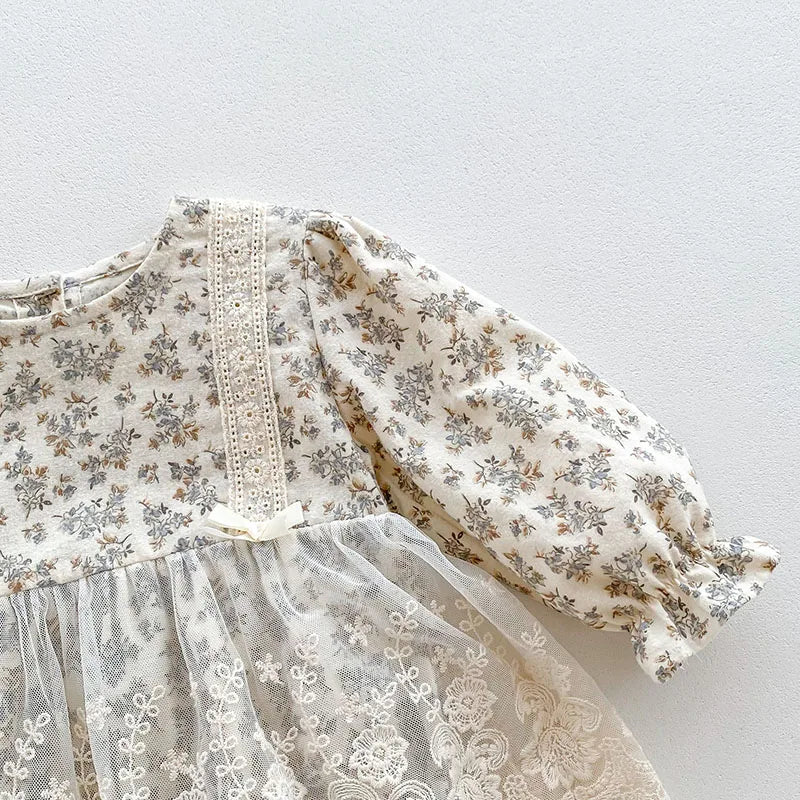 Spring Newborn Baby Girls Hat+Long Sleeved Cotton Print Lace Dress