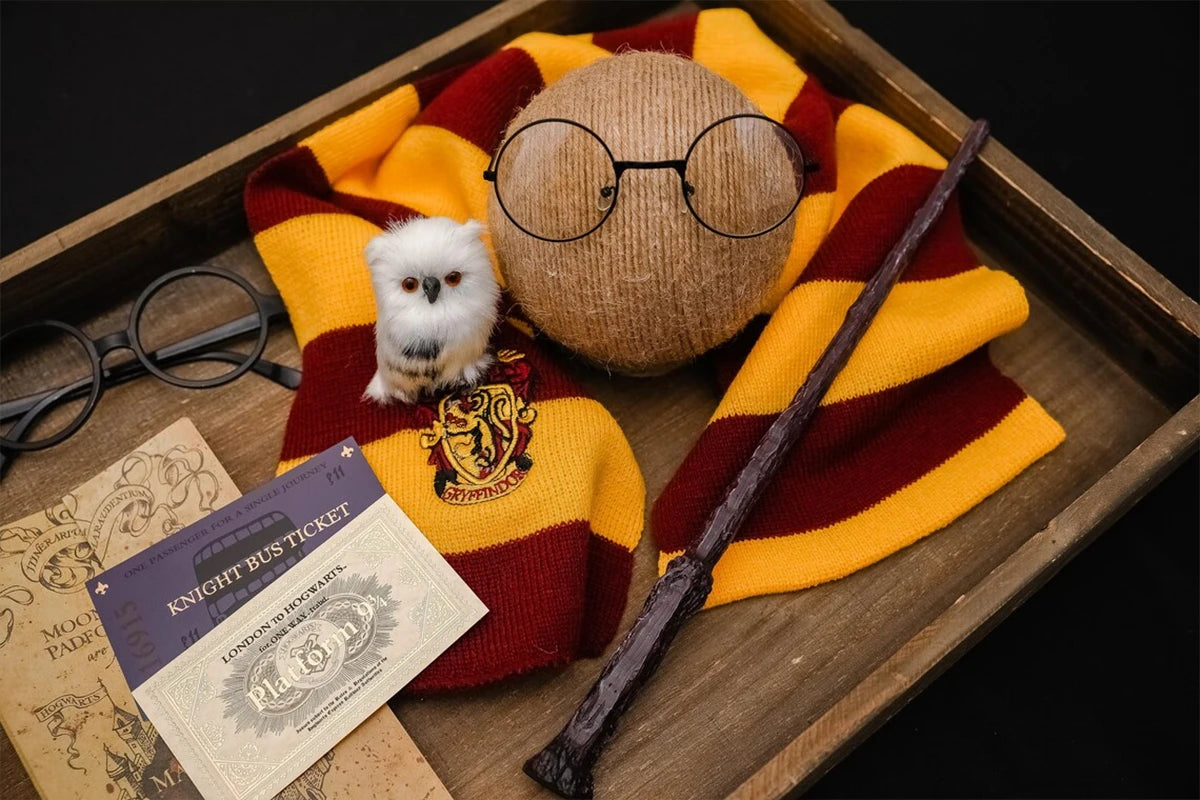 Round Glasses Owl Map Tickets Magic Hat Wand Set for Baby Photo Accessories
