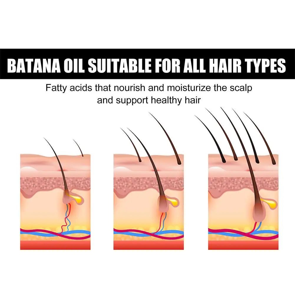 Batana Oil Anti Break Loss Hair Grow Up Oil